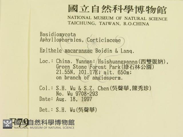 登錄號:F0007922藏品圖，第2張
