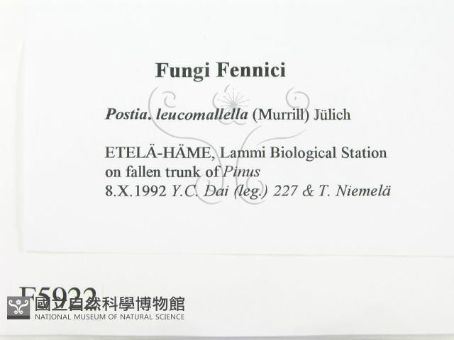 登錄號:F0005922藏品圖，第2張