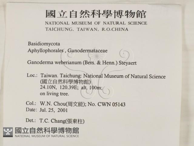 登錄號:F0015922藏品圖，第2張