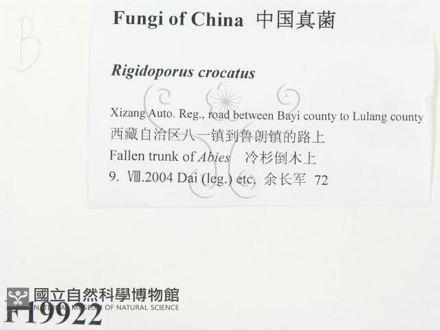 登錄號:F0019922藏品圖，第2張