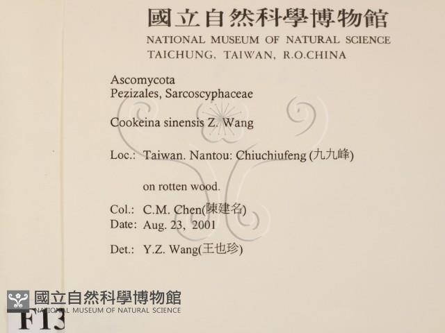 登錄號:F0013922藏品圖，第2張