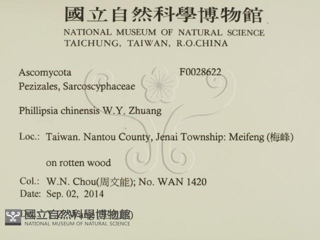 登錄號:F0028622藏品圖，第2張