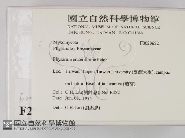 登錄號:F0020622藏品圖，第2張