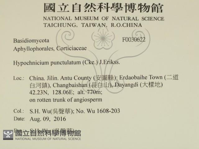 登錄號:F0030622藏品圖，第2張