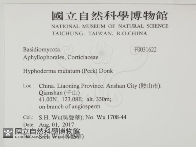 登錄號:F0031622藏品圖，第2張