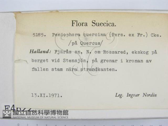 登錄號:F0004622藏品圖，第2張