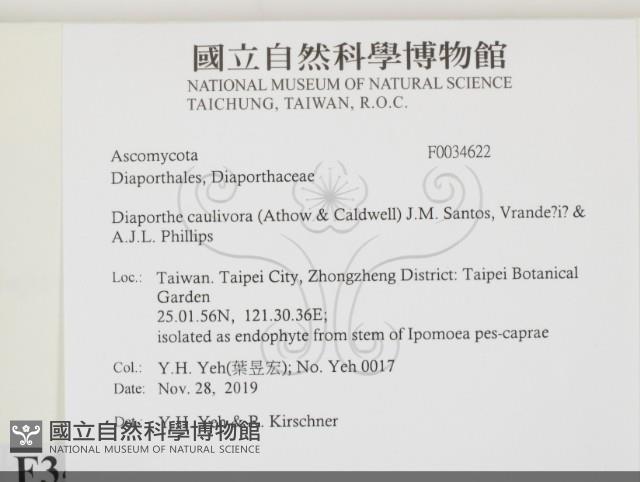 登錄號:F0034622藏品圖，第2張