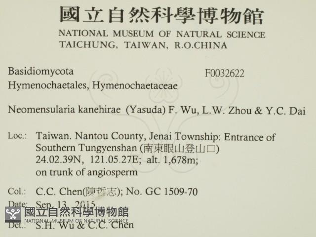 登錄號:F0032622藏品圖，第2張