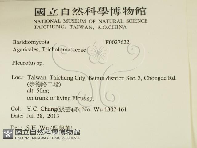 登錄號:F0027622藏品圖，第2張