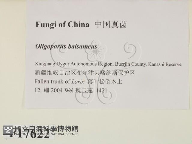 登錄號:F0017622藏品圖，第2張