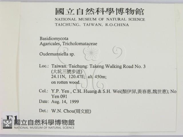 登錄號:F0015622藏品圖，第2張