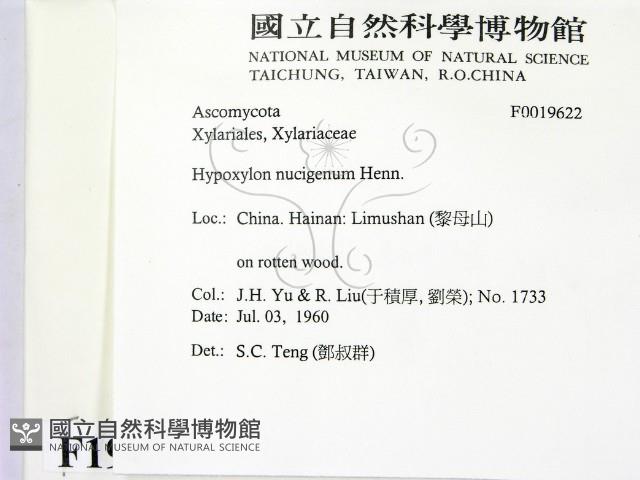 登錄號:F0019622藏品圖，第2張