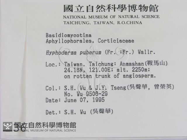 登錄號:F0003622藏品圖，第2張