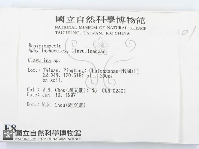 登錄號:F0008422藏品圖，第2張