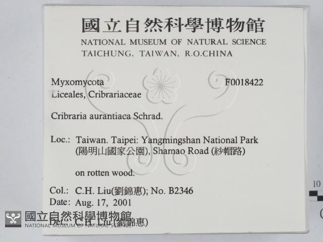 登錄號:F0018422藏品圖，第2張