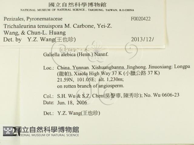 登錄號:F0020422藏品圖，第2張