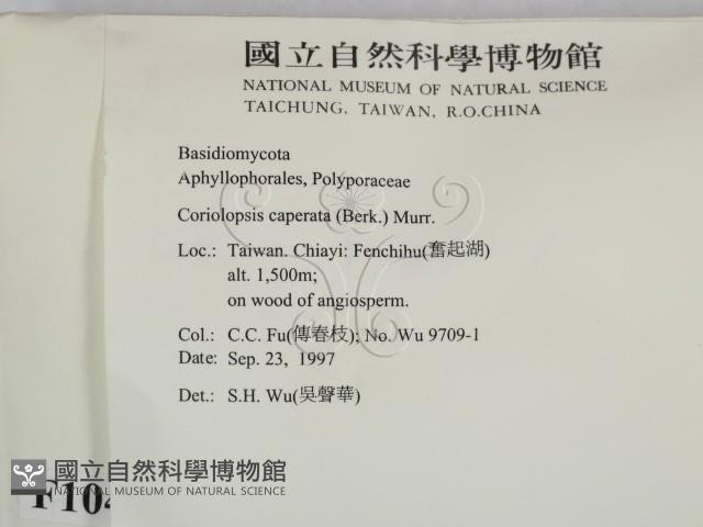 登錄號:F0010422藏品圖，第2張