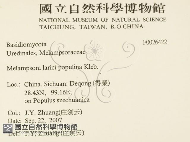 登錄號:F0026422藏品圖，第2張