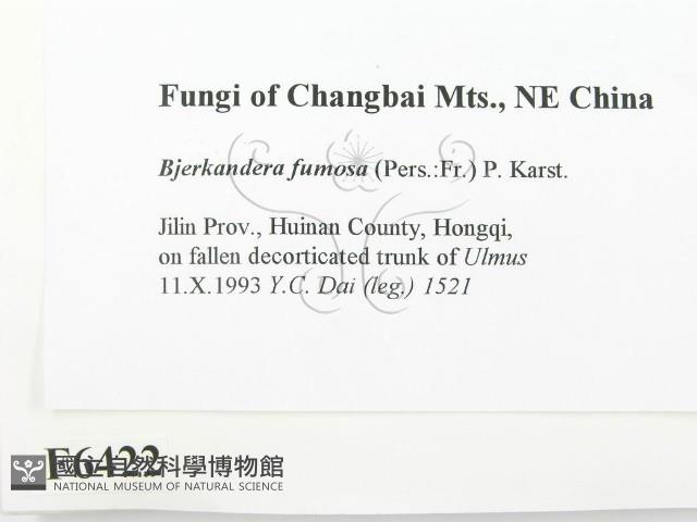 登錄號:F0006422藏品圖，第2張