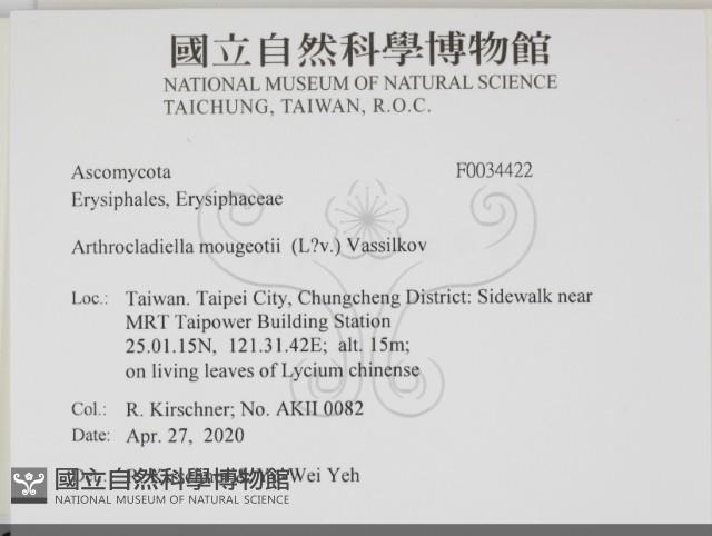 登錄號:F0034422藏品圖，第2張