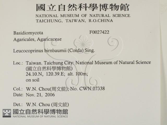 登錄號:F0027422藏品圖，第2張