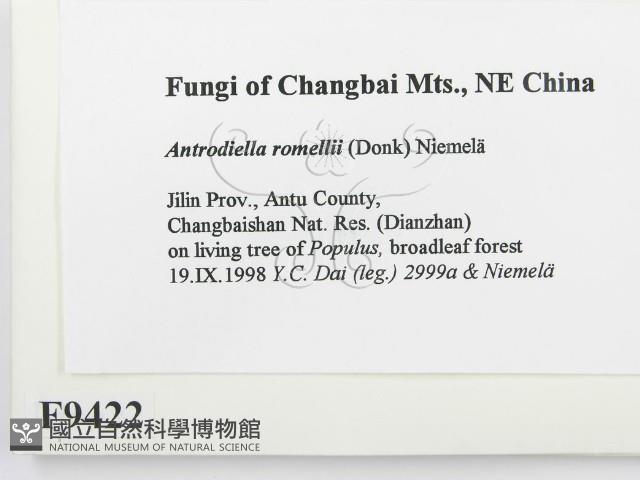 登錄號:F0009422藏品圖，第2張