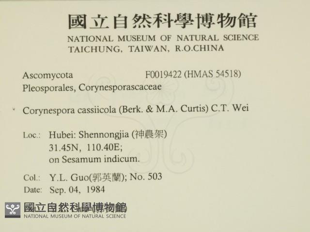 登錄號:F0019422藏品圖，第2張