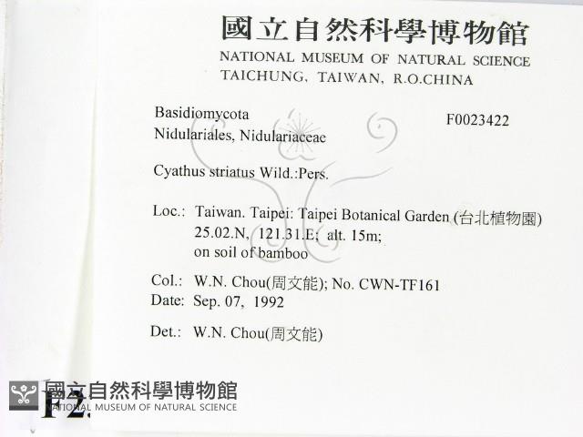 登錄號:F0023422藏品圖，第2張