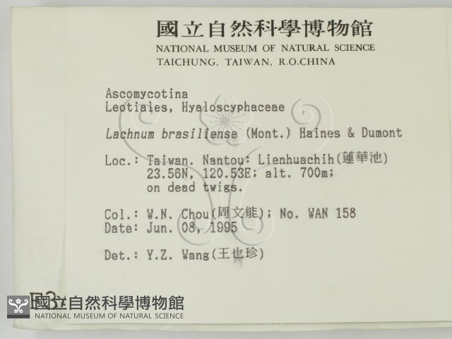 登錄號:F0003422藏品圖，第2張