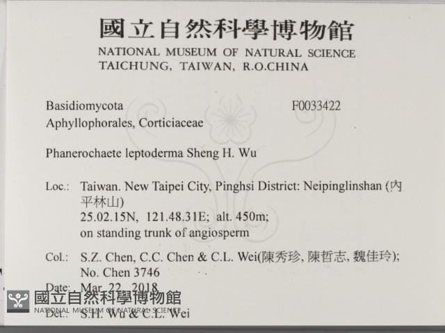 登錄號:F0033422藏品圖，第2張