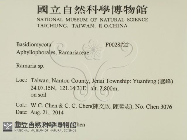 登錄號:F0028722藏品圖，第2張