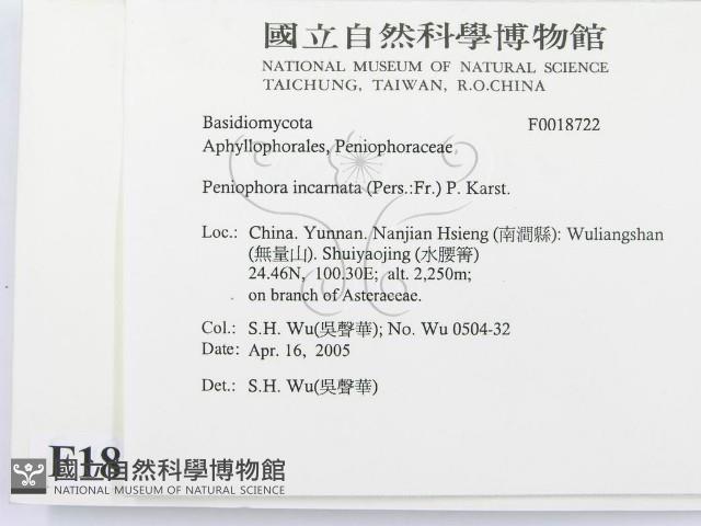 登錄號:F0018722藏品圖，第2張