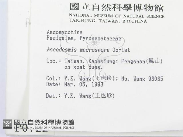登錄號:F0000722藏品圖，第2張