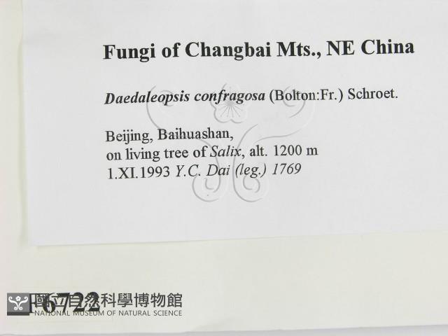 登錄號:F0006722藏品圖，第2張