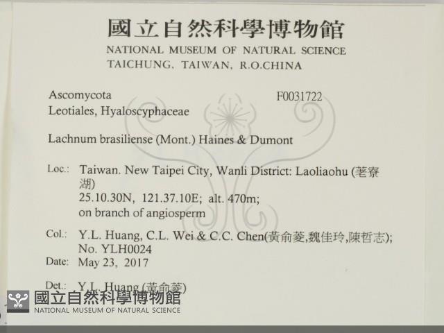 登錄號:F0031722藏品圖，第2張