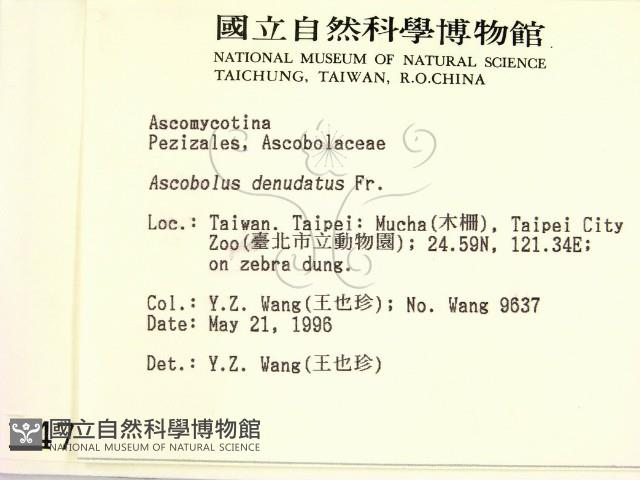 登錄號:F0004722藏品圖，第2張