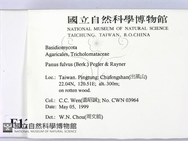 登錄號:F0012722藏品圖，第2張