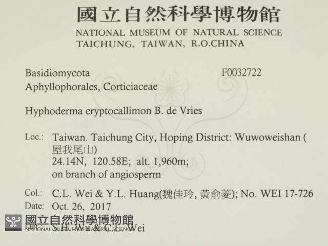 登錄號:F0032722藏品圖，第2張