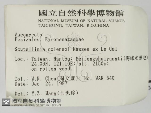 登錄號:F0007722藏品圖，第2張