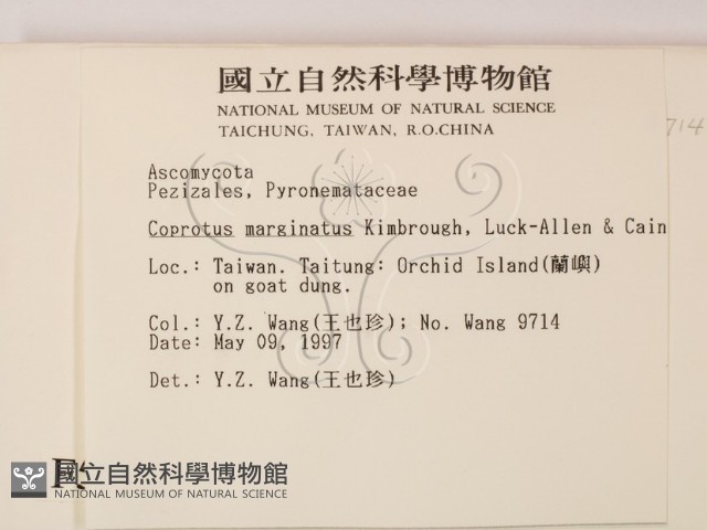 登錄號:F0005722藏品圖，第2張