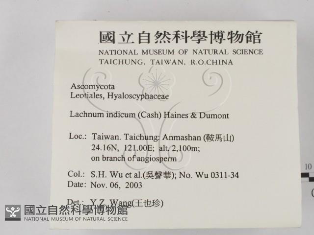 登錄號:F0015722藏品圖，第2張