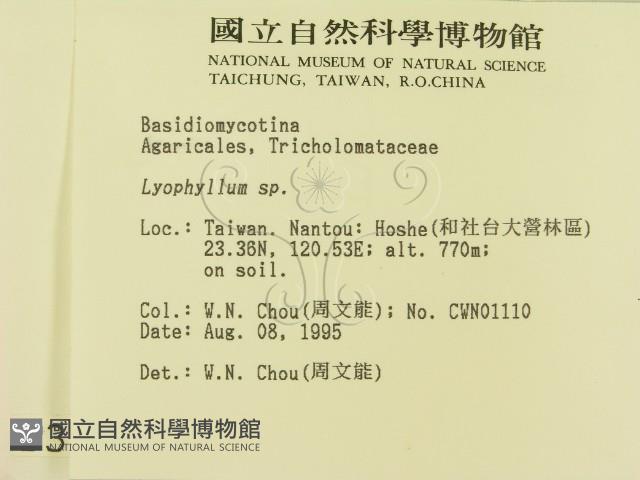登錄號:F0003722藏品圖，第2張