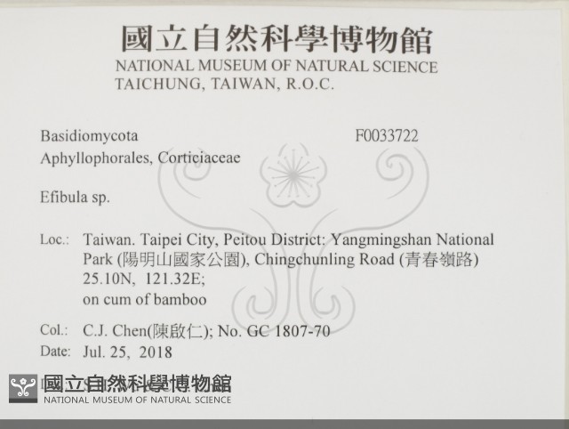 登錄號:F0033722藏品圖，第2張