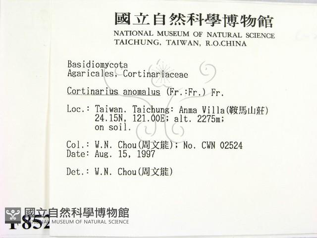 登錄號:F0008522藏品圖，第2張