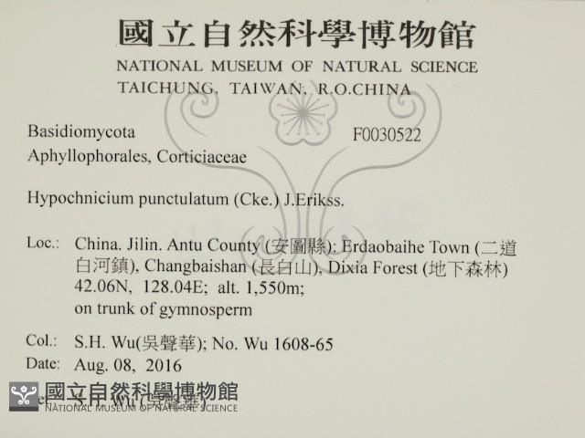 登錄號:F0030522藏品圖，第2張