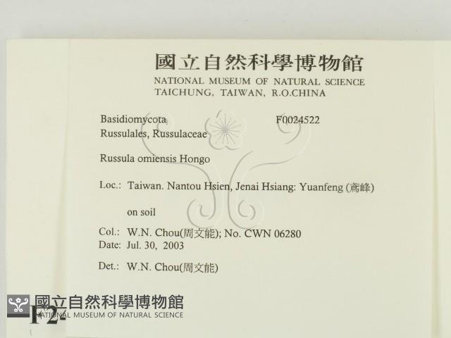 登錄號:F0024522藏品圖，第2張