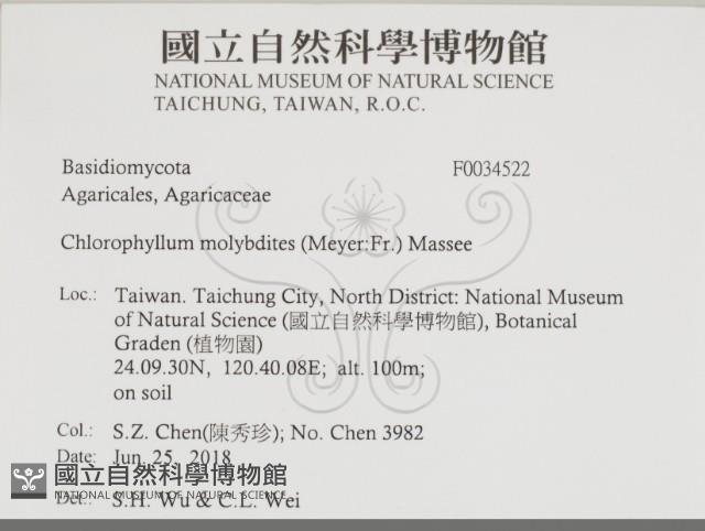 登錄號:F0034522藏品圖，第2張