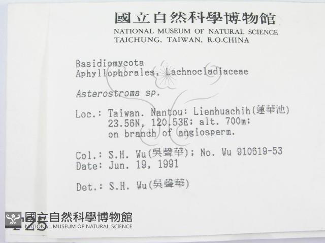 登錄號:F0002522藏品圖，第2張