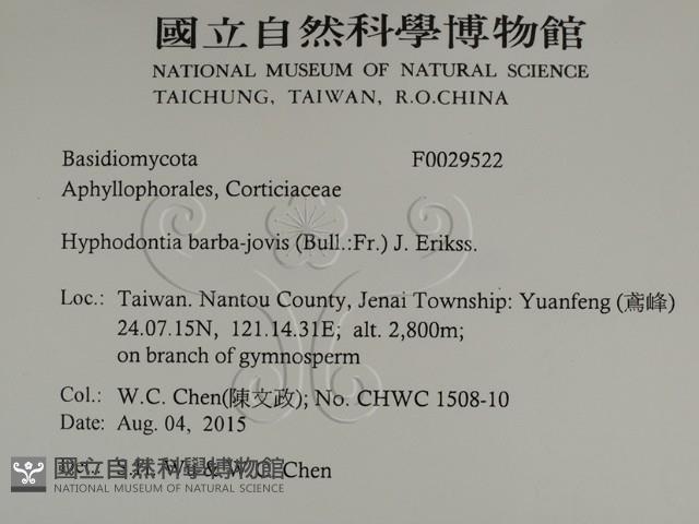 登錄號:F0029522藏品圖，第2張