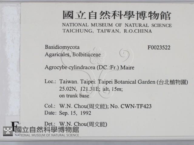 登錄號:F0023522藏品圖，第2張